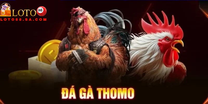 Có đa dạng kèo cược đá gà siêu hấp dẫn