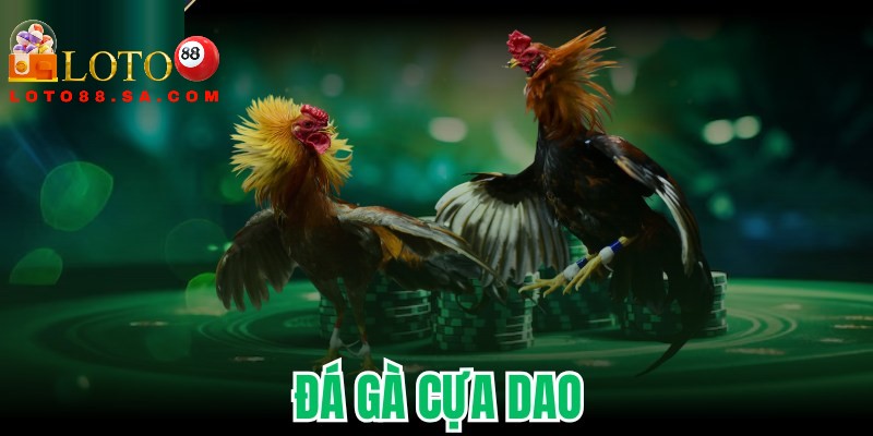 Người chơi cần chú ý đến kỹ thuật đánh giá chiến kê hiệu quả