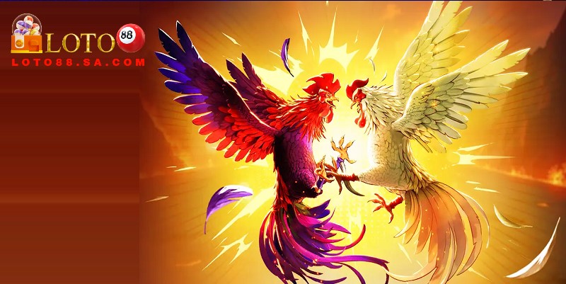 Màu mạng đá gà theo ngũ hành: Bí quyết chọn chiến kê 3 Thứ 5 nên chọn chiến kê màu vàng, trắng để thi đấu